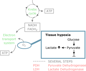 incr-bloo-lac-levels-fig2a