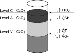 Set rec strai on shunt fig 4