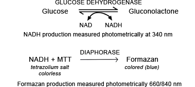 FIGURE 2c