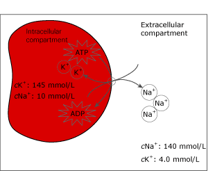 Useful tips preana err fig 4