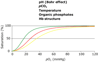 What is p50 fig1