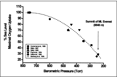 bg ac bal muscl mass fig2