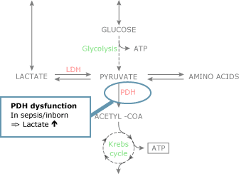 incr-bloo-lac-levels-fig2b