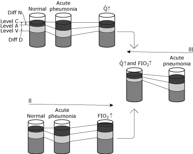 Set rec strai on shunt fig 5