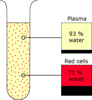 Prin and prob of bg meas fig 1