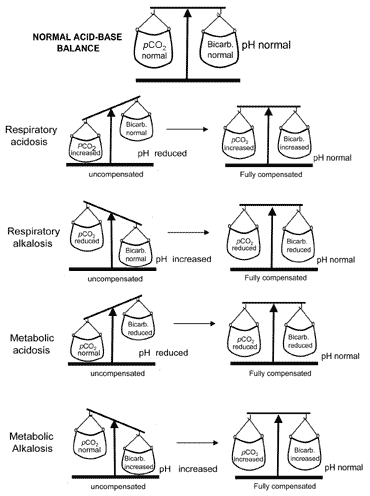 An intro to acid base bal fig. 2