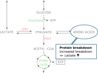 incr-bloo-lac-levels-fig2c