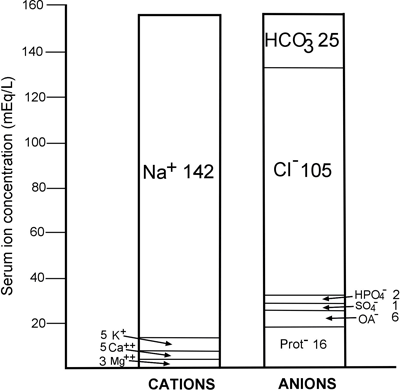 Normal ionic anatomy of serum