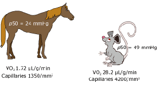 What is p50 fig3